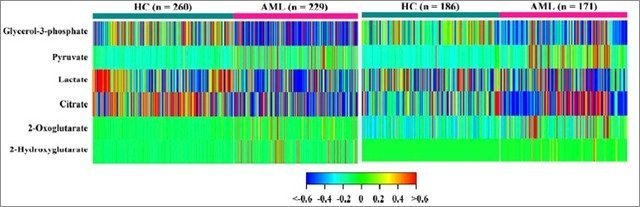临床代谢组学服务