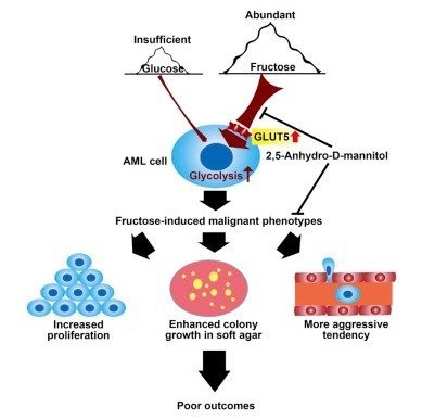 临床代谢组学服务