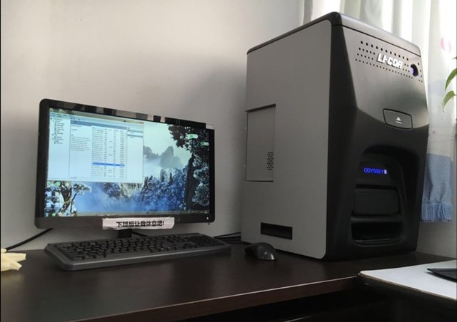 蛋白免疫印记（Western Blotting）检测服务