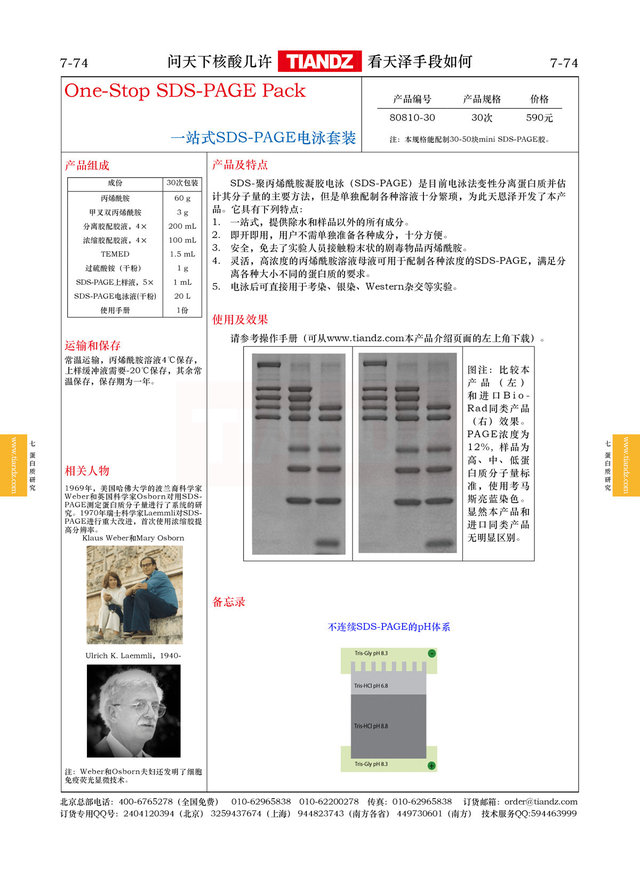 一站式SDS-PAGE蛋白电泳套装