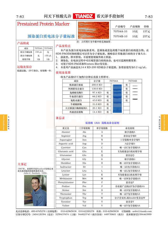 预染蛋白质电泳分子量标准（蛋白Marker 43.0-200