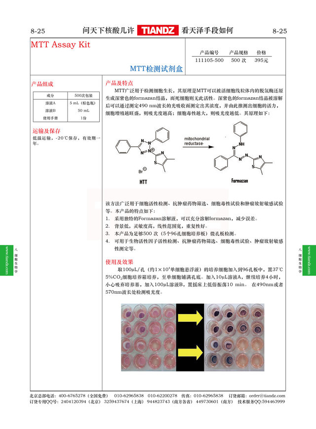 MTT检测试剂盒