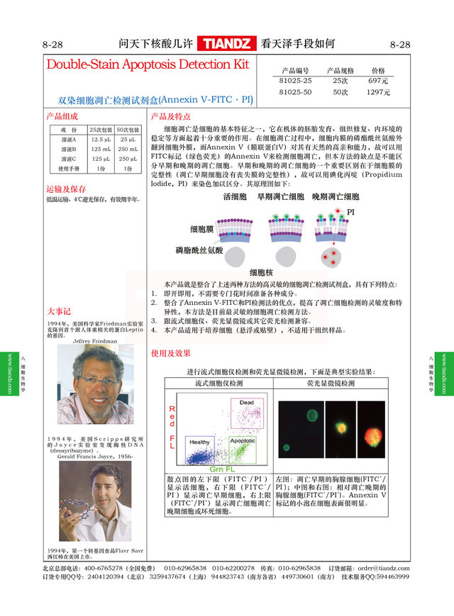 双染细胞凋亡检测试剂盒（Annexin V-FITC·PI）