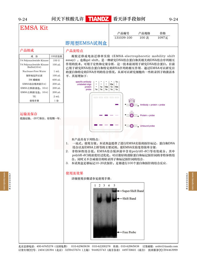 即用型EMSA试剂盒