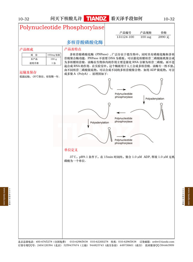 多核苷酸磷酸化酶