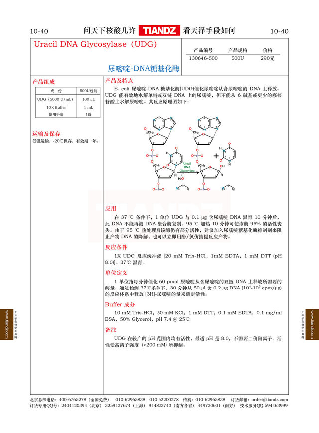 尿嘧啶-DNA糖基化酶