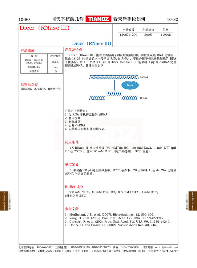 Dicer（RNase III）