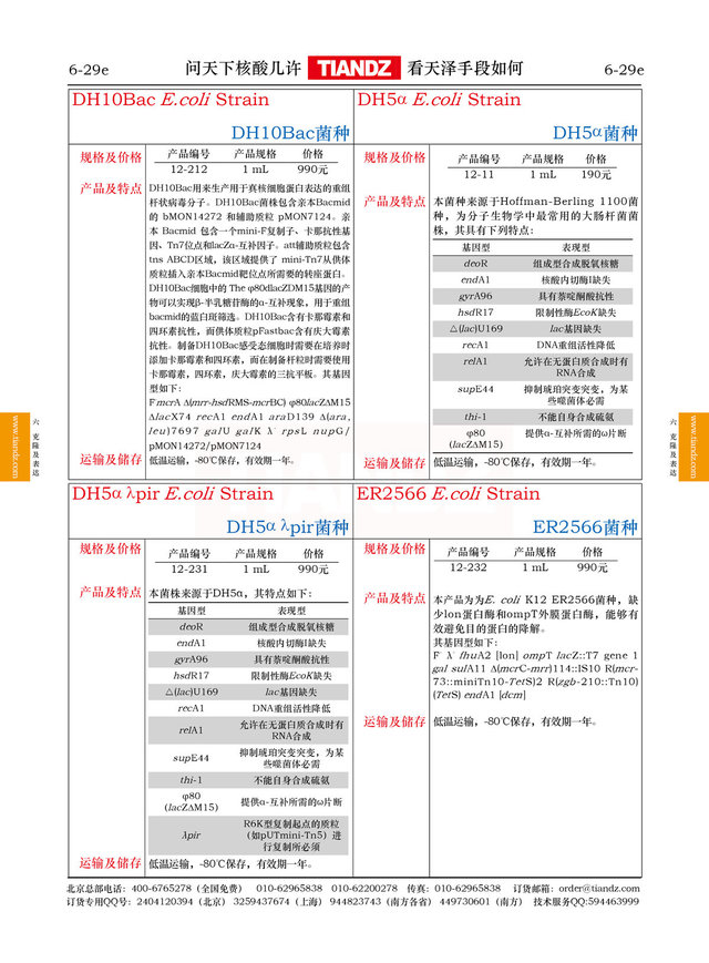 大肠杆菌DH5α菌种