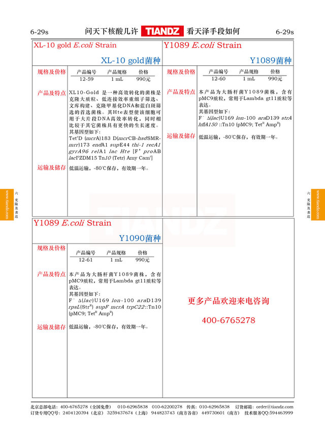 大肠杆菌XL-10 gold 菌种