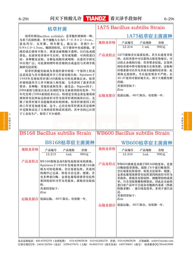 枯草杆菌WB600菌种