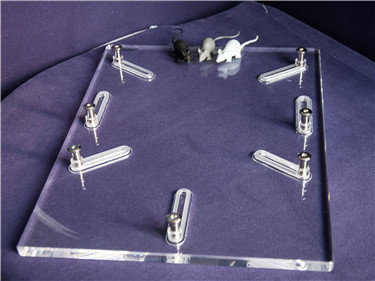 有机玻璃解剖板