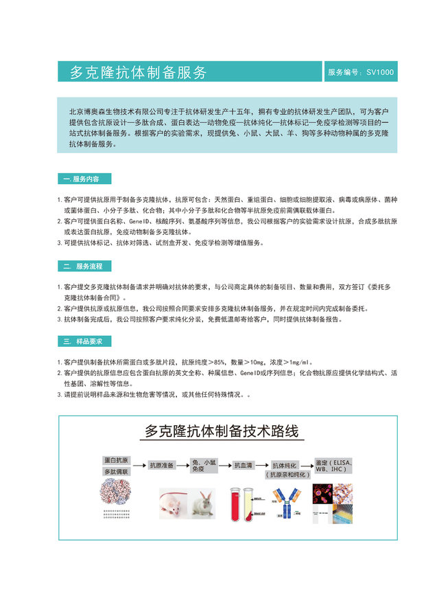 多克隆抗体制备,多抗定制