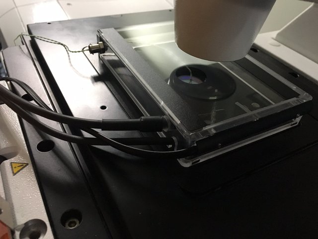 KOSTER显微镜样品框/显微镜样品夹（适合多孔板）