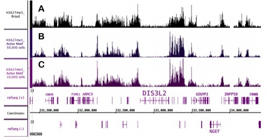 染色质免疫共沉淀 ChIP-Seq 技术服务