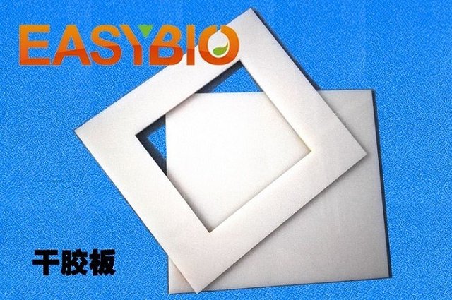 蛋白质干胶架 干胶夹 干胶板