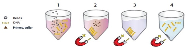 CleanPCR-测序产物纯化专用磁珠