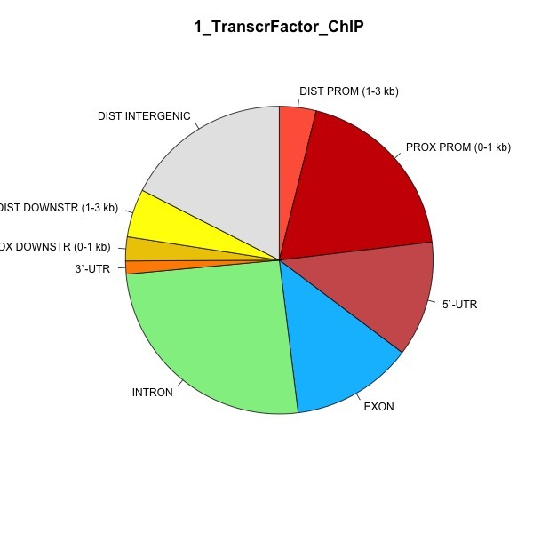 染色质免疫共沉淀 ChIP-Seq 技术服务