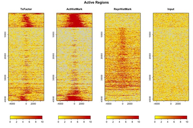 染色质免疫共沉淀 ChIP-Seq 技术服务