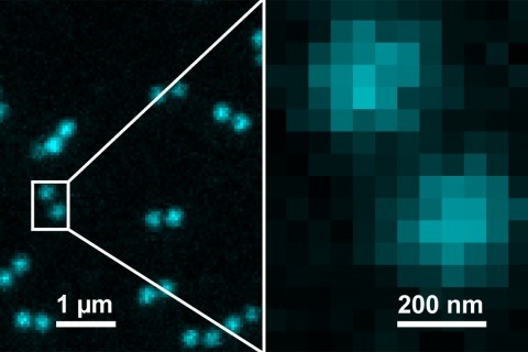 GATTA-共聚焦系列纳米标尺