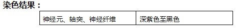 改良Bielschowsky神经染色液使用说明书