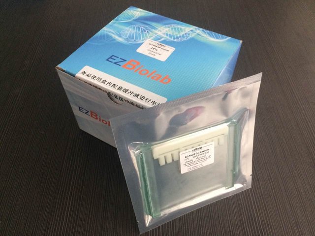 聚丙烯酰胺凝胶电泳预制胶