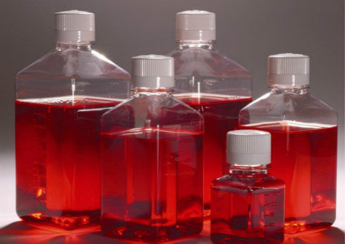 2%豚鼠红细胞,4%豚鼠红细胞,6%豚鼠红细胞