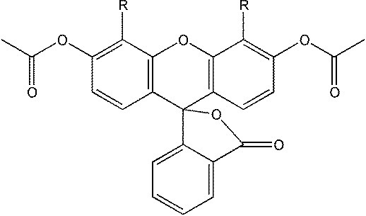 钙黄绿素 Calcein,AM 超纯级(细胞荧光染色标记试剂