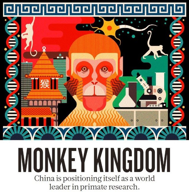 NHP病毒|非人灵长类动物|光遗传/NPHR