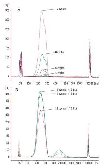 High Sensitivity DNA Analysis