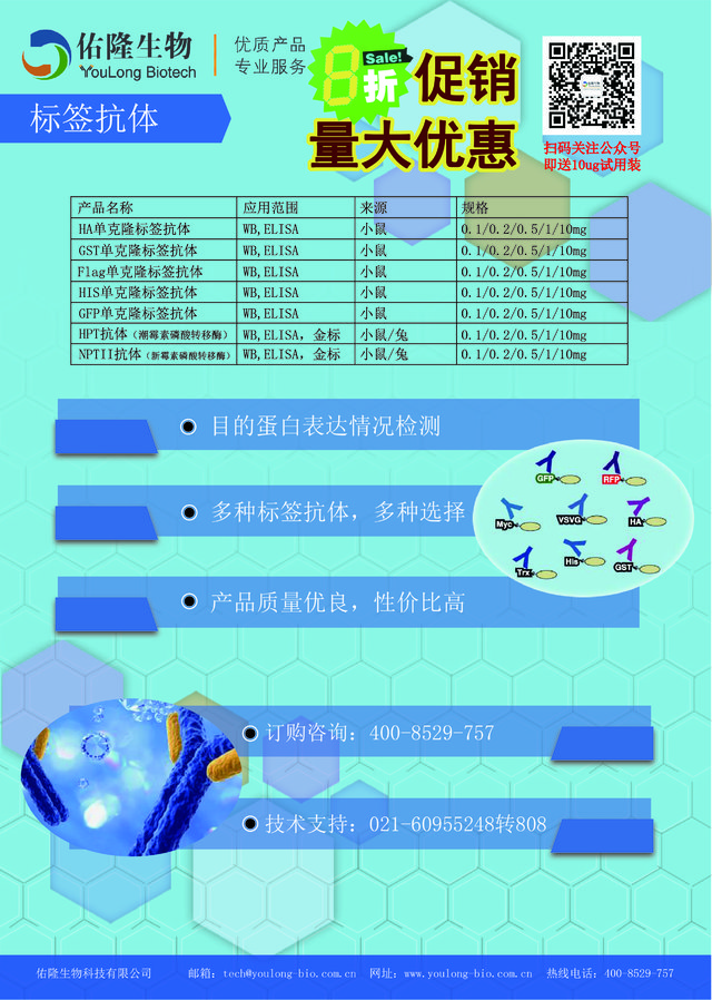 HA-Tag mAb HA标签抗体鼠单抗