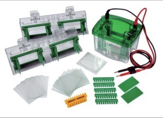 东林自产DL-24DN双垂直电泳槽