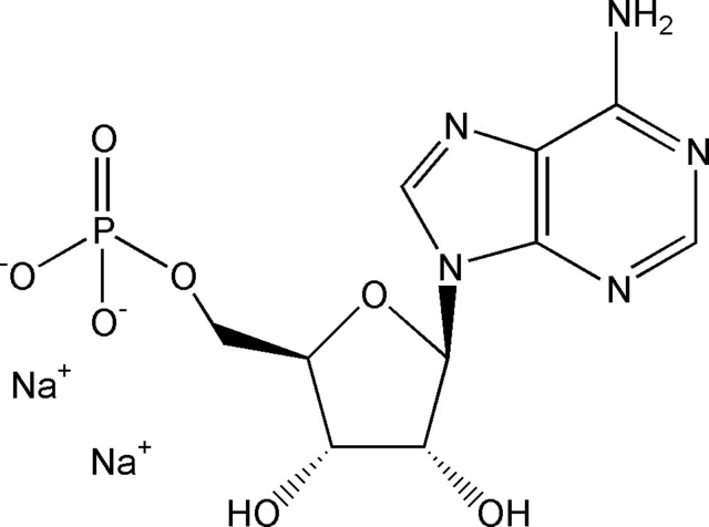 AMP（5’-单磷酸腺苷二钠盐） AMPK激酶激活剂