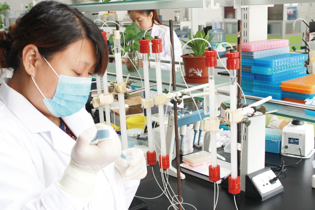 猪繁殖与呼吸综合征/猪蓝耳病病毒抗体