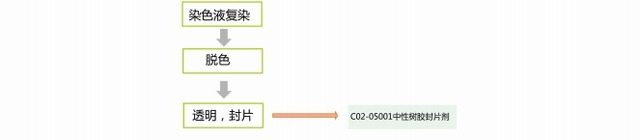 猪繁殖与呼吸综合征/猪蓝耳病病毒抗体
