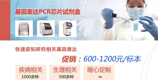 Rat Cell Motility PCR Array 