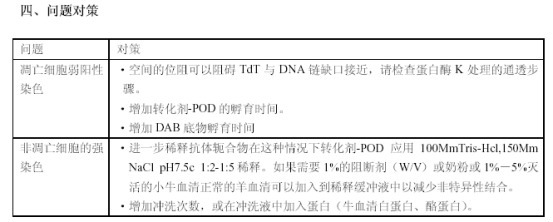 产品细节图片2