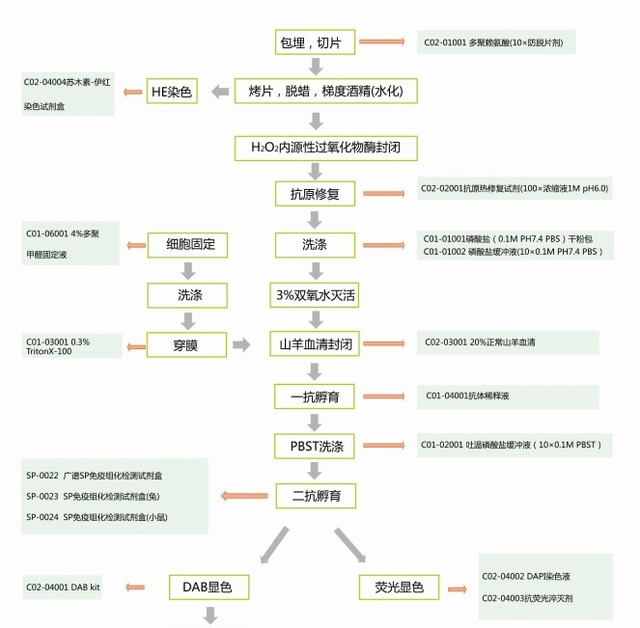 猪繁殖与呼吸综合征/猪蓝耳病病毒抗体