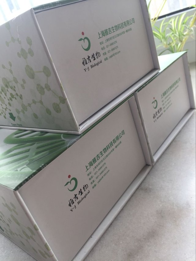 小鼠环磷酸腺苷(cAMP)Elisa试剂盒