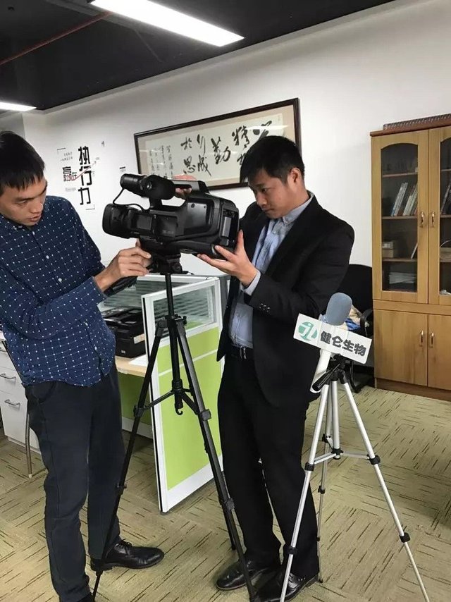 Panbio登革热IgM抗体检测试剂盒 Panbio登革热抗