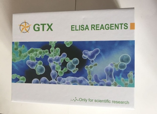 人转酮醇酶（TKT）Elisa试剂盒