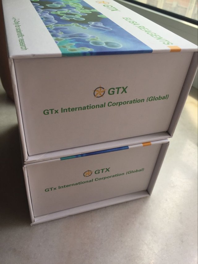 人转酮醇酶（TKT）Elisa试剂盒