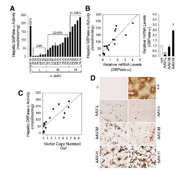 病毒在代谢研究中的应用