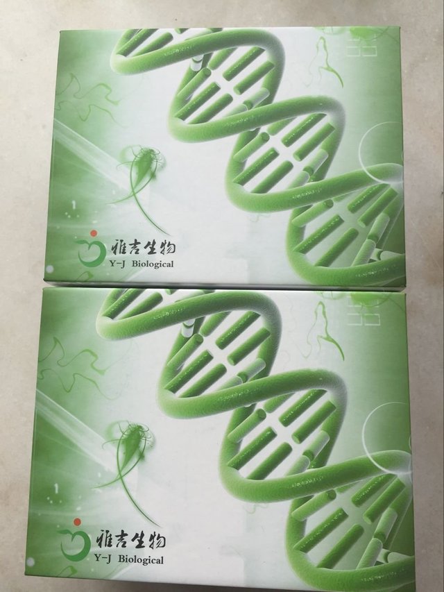 人组胺（HIS）Elisa试剂盒