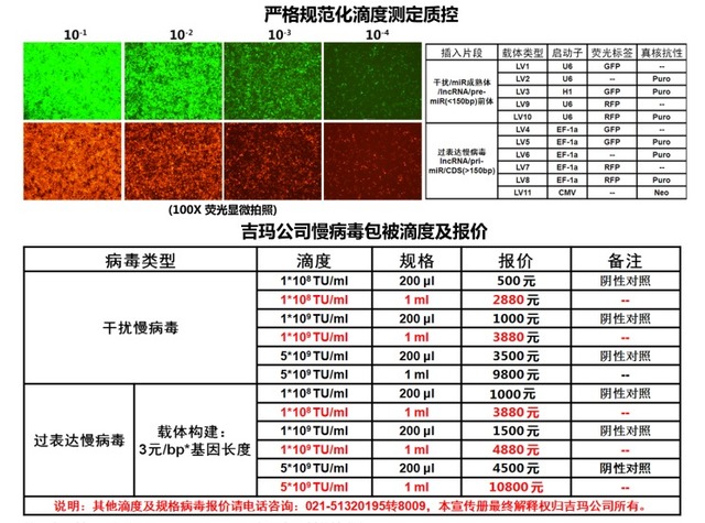 shRNA慢病毒干扰套餐