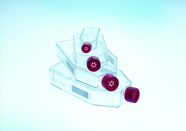 25cm²细胞培养瓶（标准盖/虑盖)