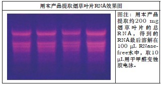 植物RNAOUTPlant RNAOUT