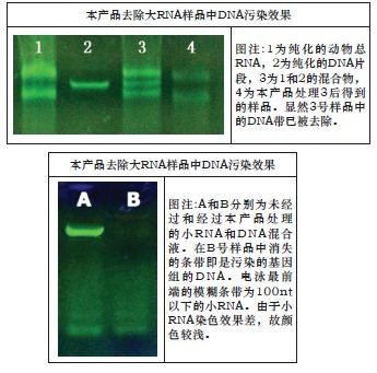 非酶DNA清除剂-2