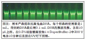 96孔板血液DNAOUT（离心法）