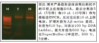 一管式拭子DNAOUT