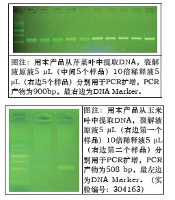 一步式广谱DNAOUT-Magic DNAOUT